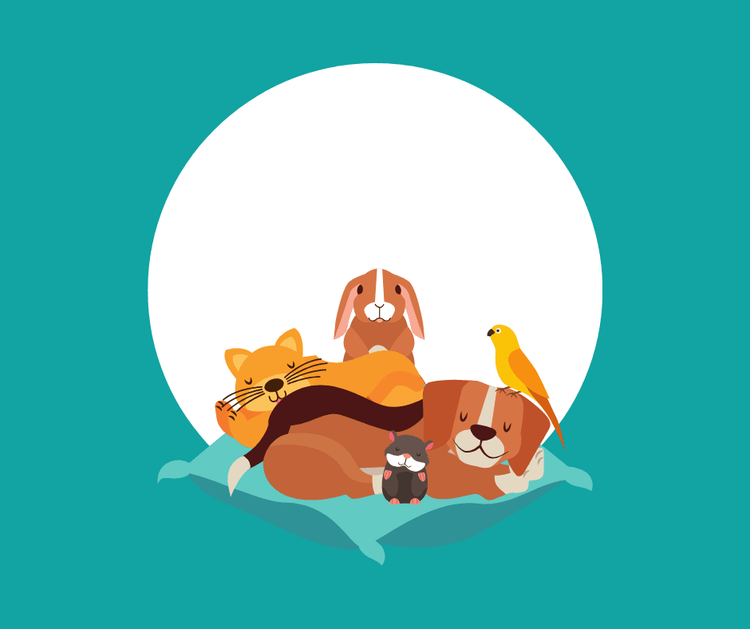 Illustration: Katze, Kaninchen, Hund, Vogel und Meerschweinchen liegen zusammen auf einer Decke