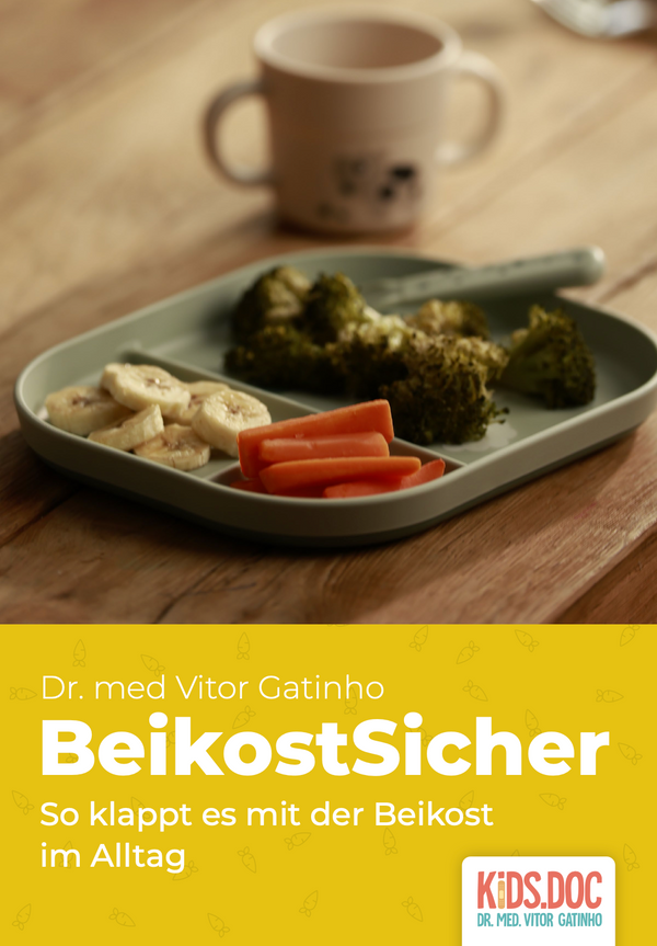 Cover: So klappt es mit der Beikost im Alltag