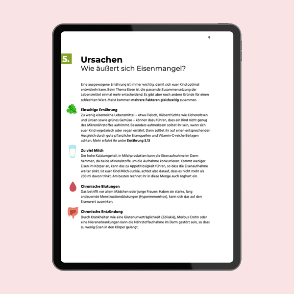 Eisenmangel-Ratgeber von KidsDoc – Seitenvorschau 3